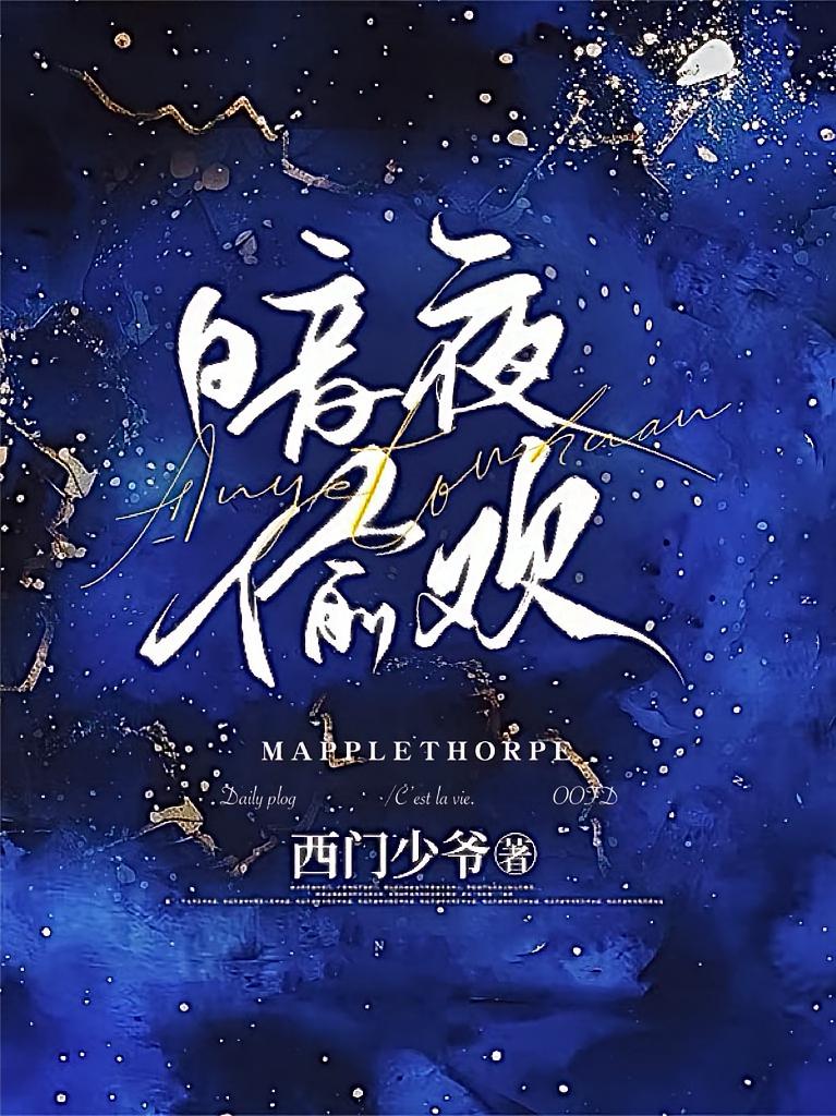 暗夜偷欢