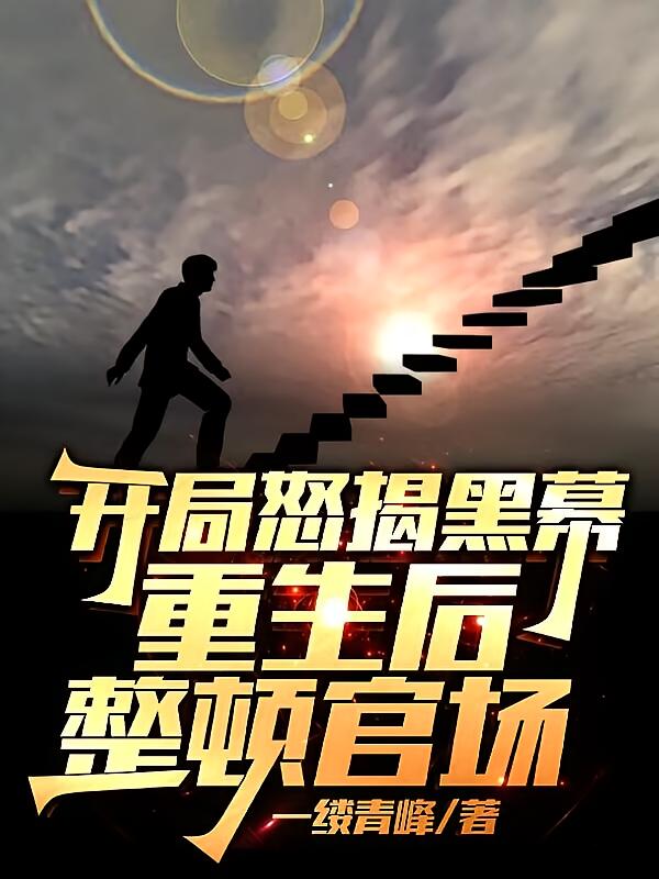 开局怒揭黑幕，重生后整顿官场