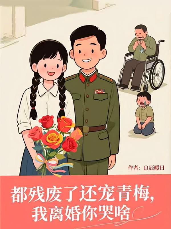都残废了还宠青梅，我离婚你哭啥