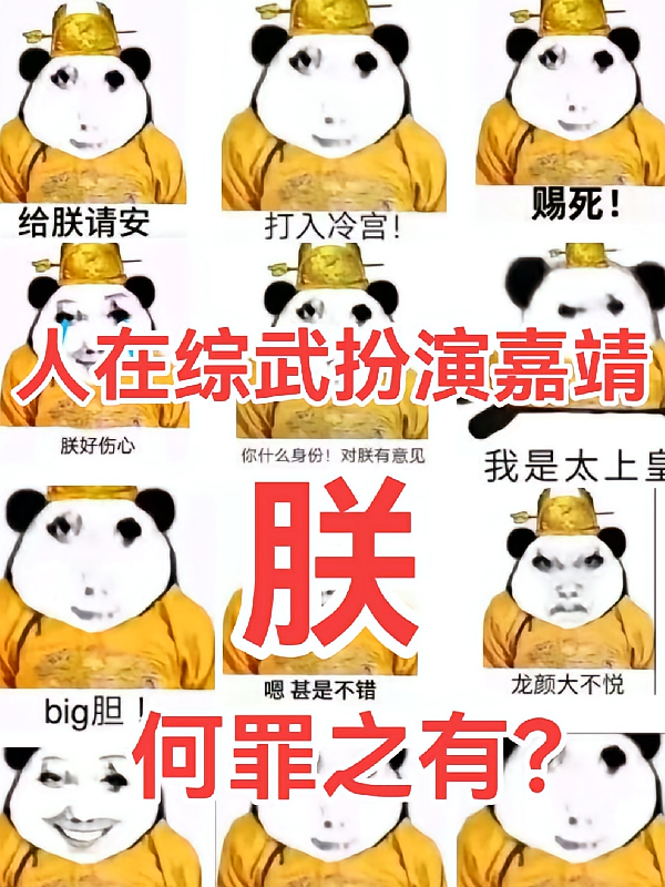 人在综武扮演嘉靖：朕何罪之有？